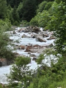Bergfluss mit Steinen und grünem Wald